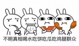 吃瓜群众英文缩写是什么