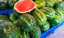 吃瓜盘点,娱乐圈最新热点事件大揭秘