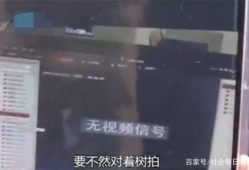 娱乐吃瓜酱偷电瓶,娱乐吃瓜酱的惊险一幕